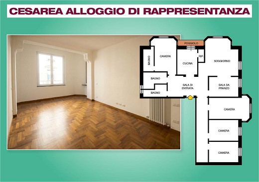 La Planimetria