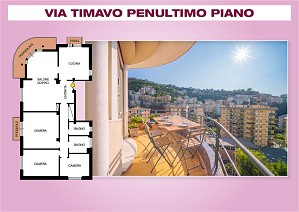 Vedi scheda dettagliata