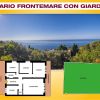 La Planimetria